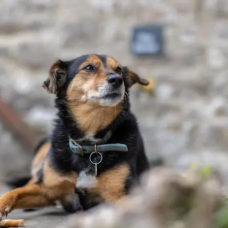 Storeys Σπίτι διακοπών